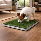 Tapete entrenador para perro