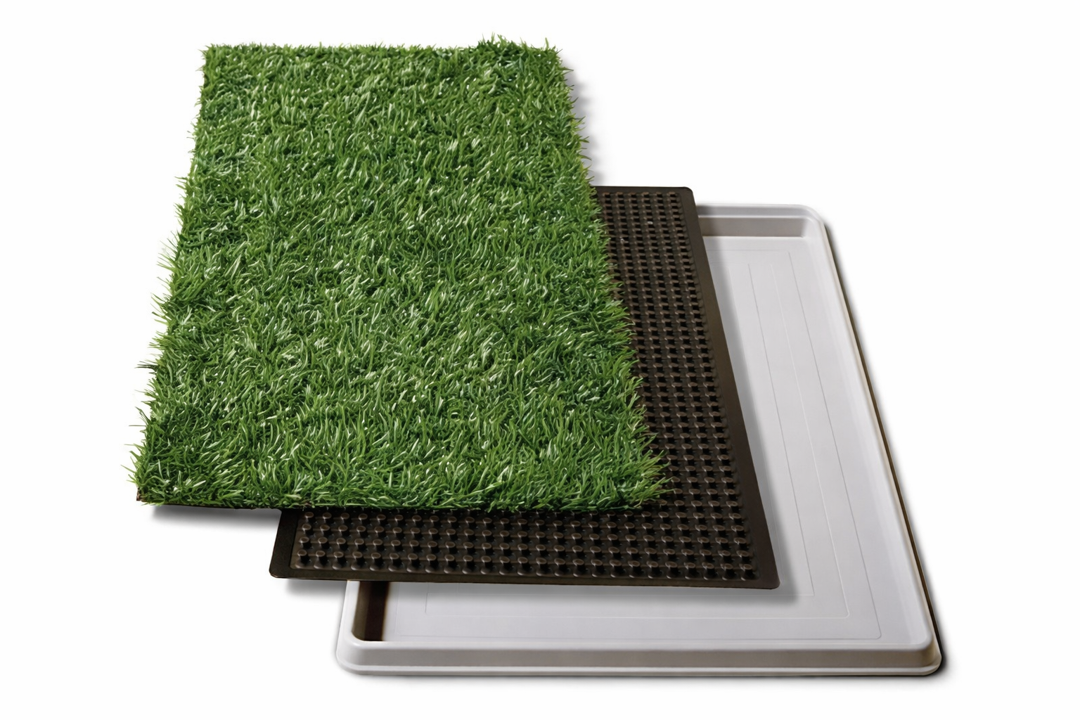 Tapete entrenador para perro