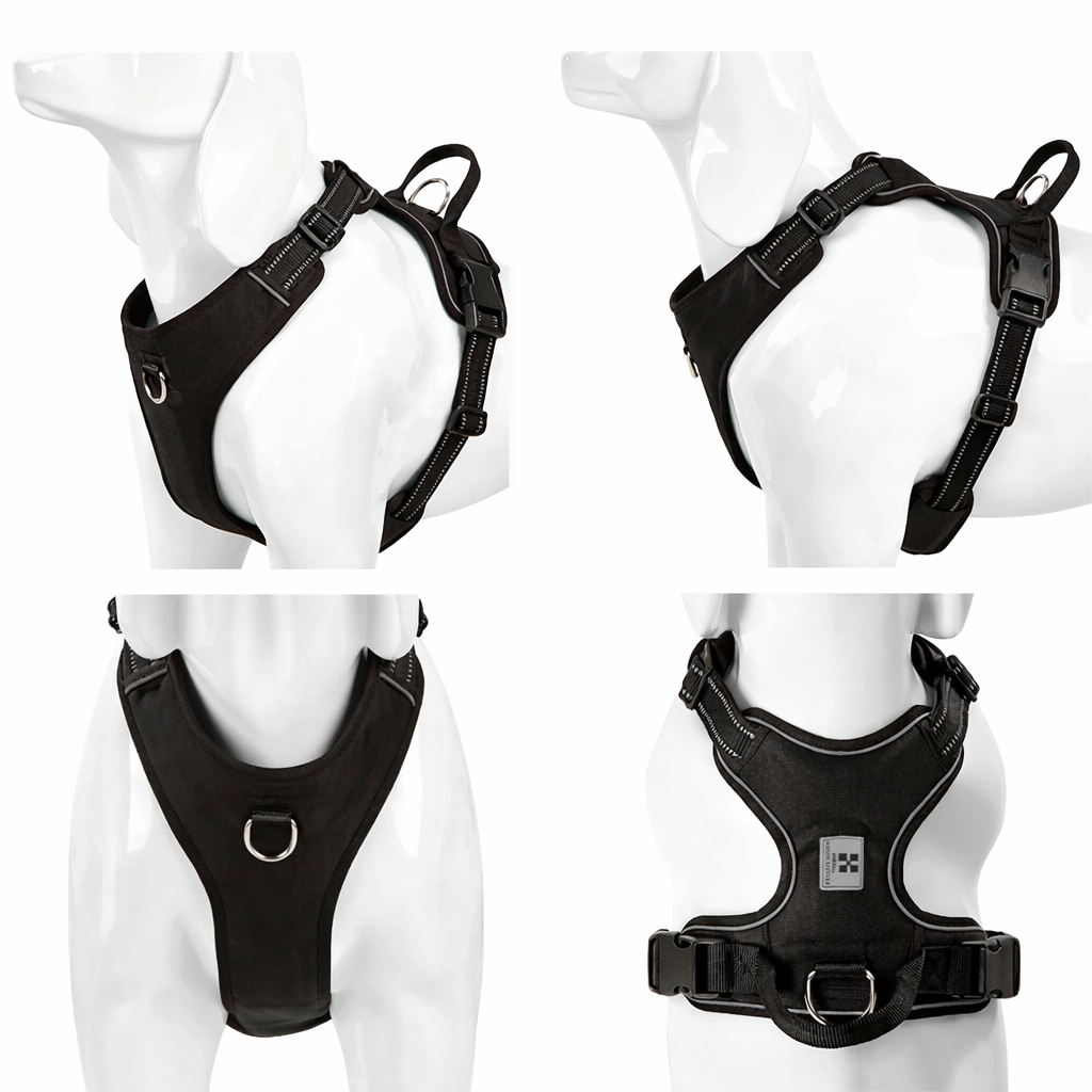 dog harness