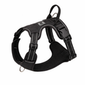 dog harness