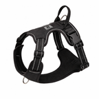 dog harness